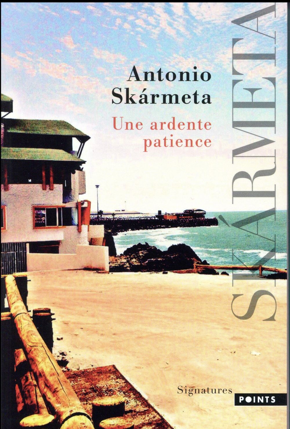 UNE ARDENTE PATIENCE - SKARMETA ANTONIO - Points