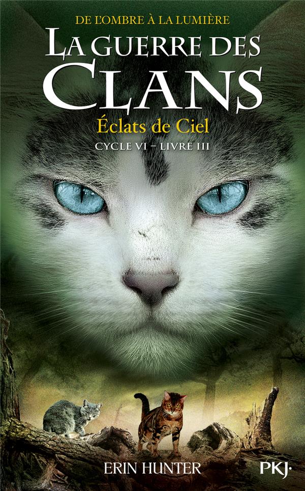 LA GUERRE DES CLANS - CYCLE 6  -  DE L'OMBRE A LA LUMIERE TOME 3 : ECLATS DE CIEL - HUNTER ERIN - POCKET