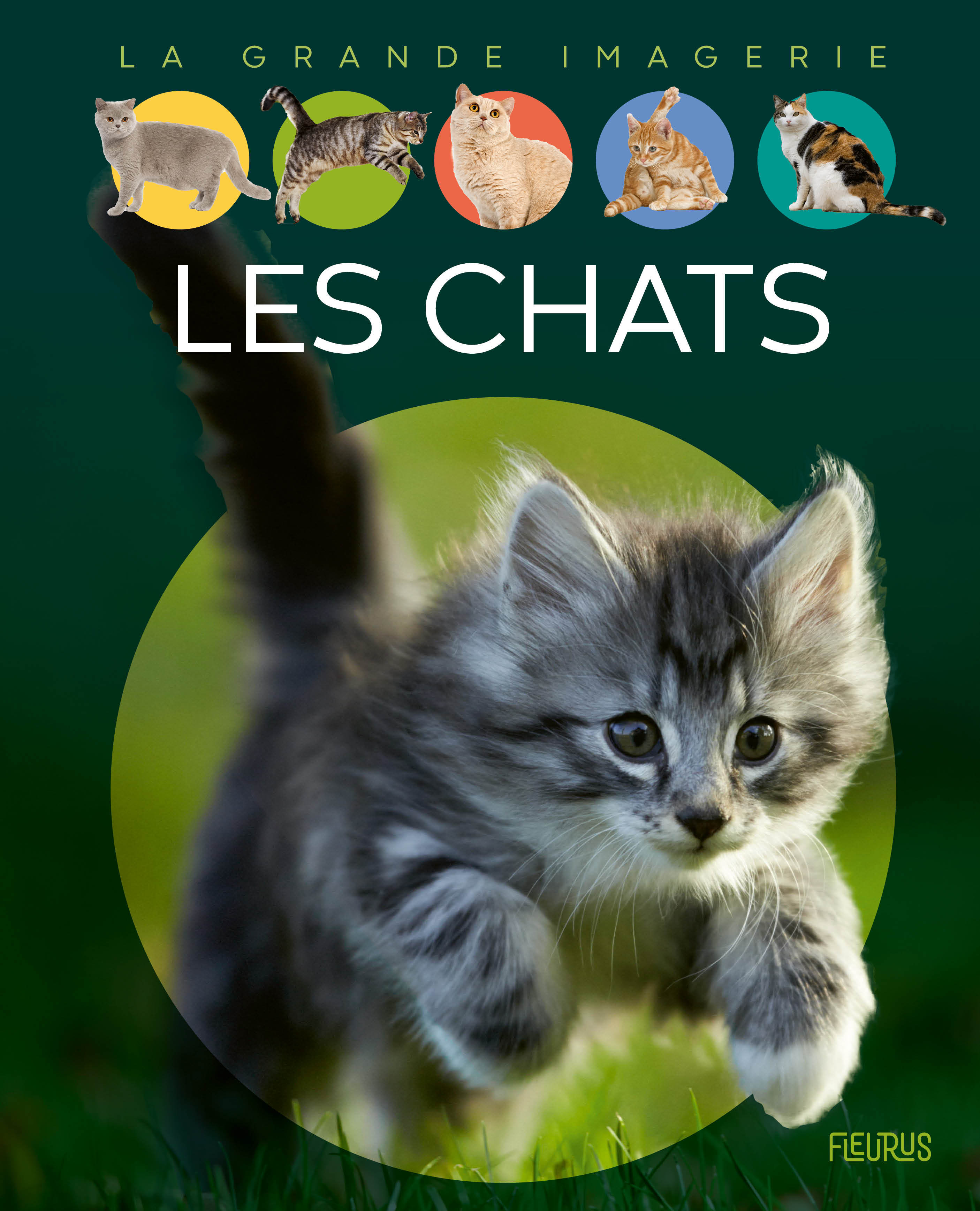 Les chats - Vandewiele Agnès - FLEURUS