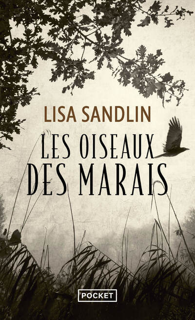 Les Oiseaux des marais - Sandlin Lisa, Clévy Claire-Marie - POCKET