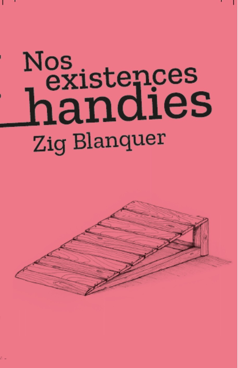Nos existences handies - Zig Blanquer, Sarah Heussaf - TAHIN PARTY