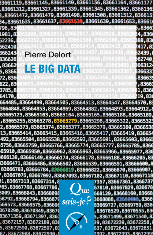 Le Big Data - Pierre Delort - QUE SAIS JE