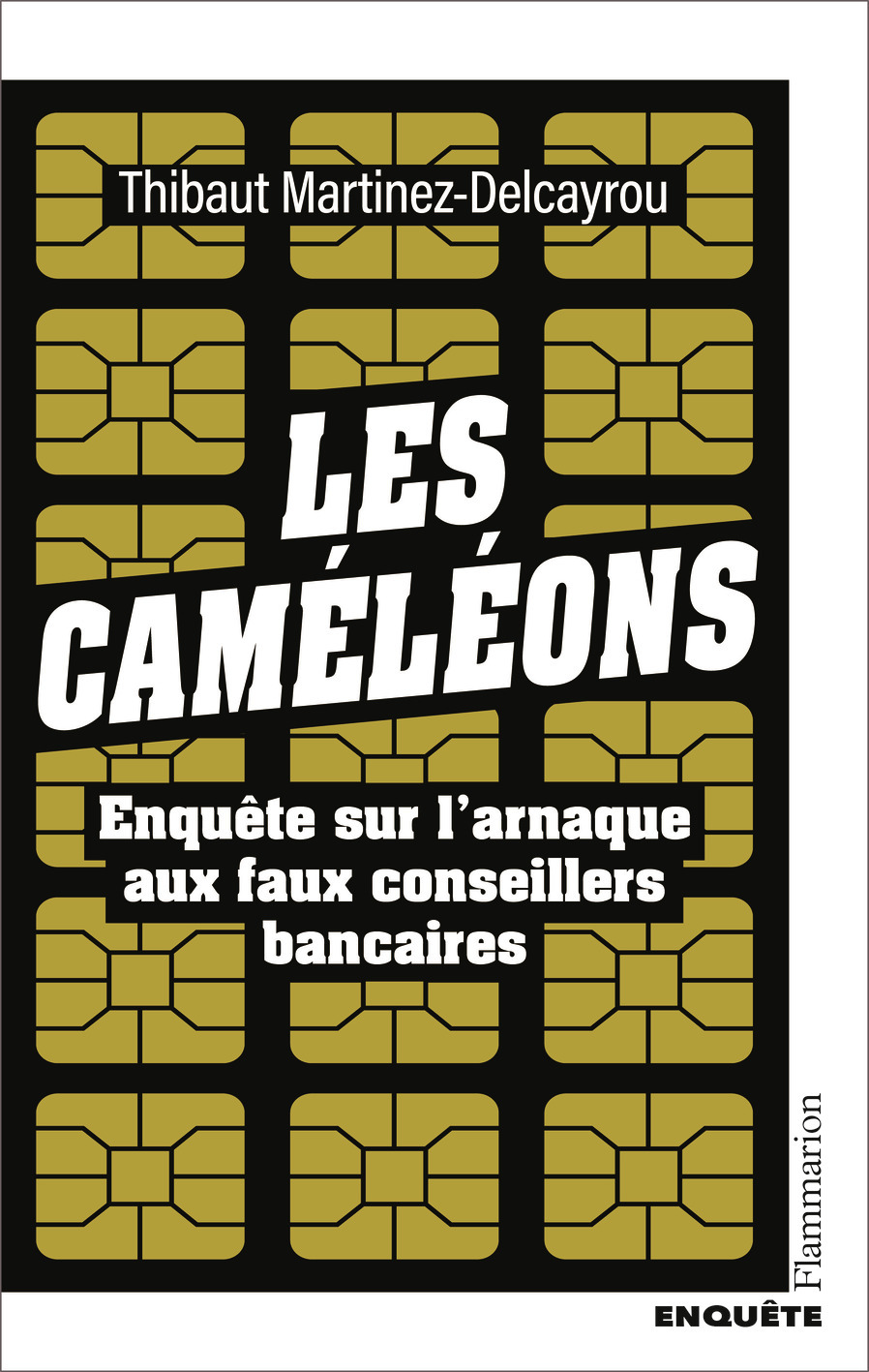 Les Caméléons - Thibaut Martinez-Delcayrou - FLAMMARION