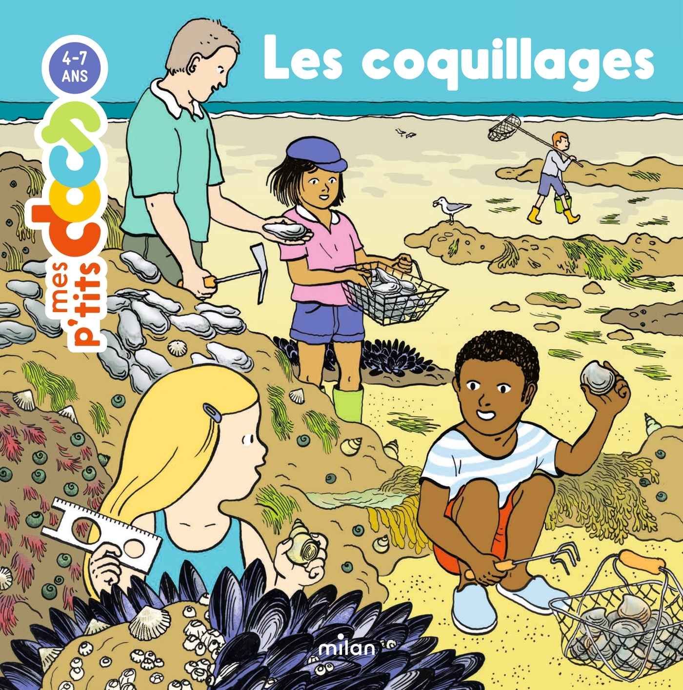 Les coquillages - Stéphanie Ledu, Claire De Gastold - MILAN