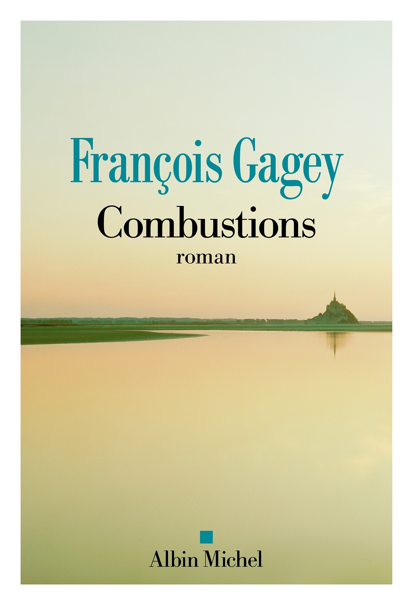 Combustions - François Gagey - ALBIN MICHEL