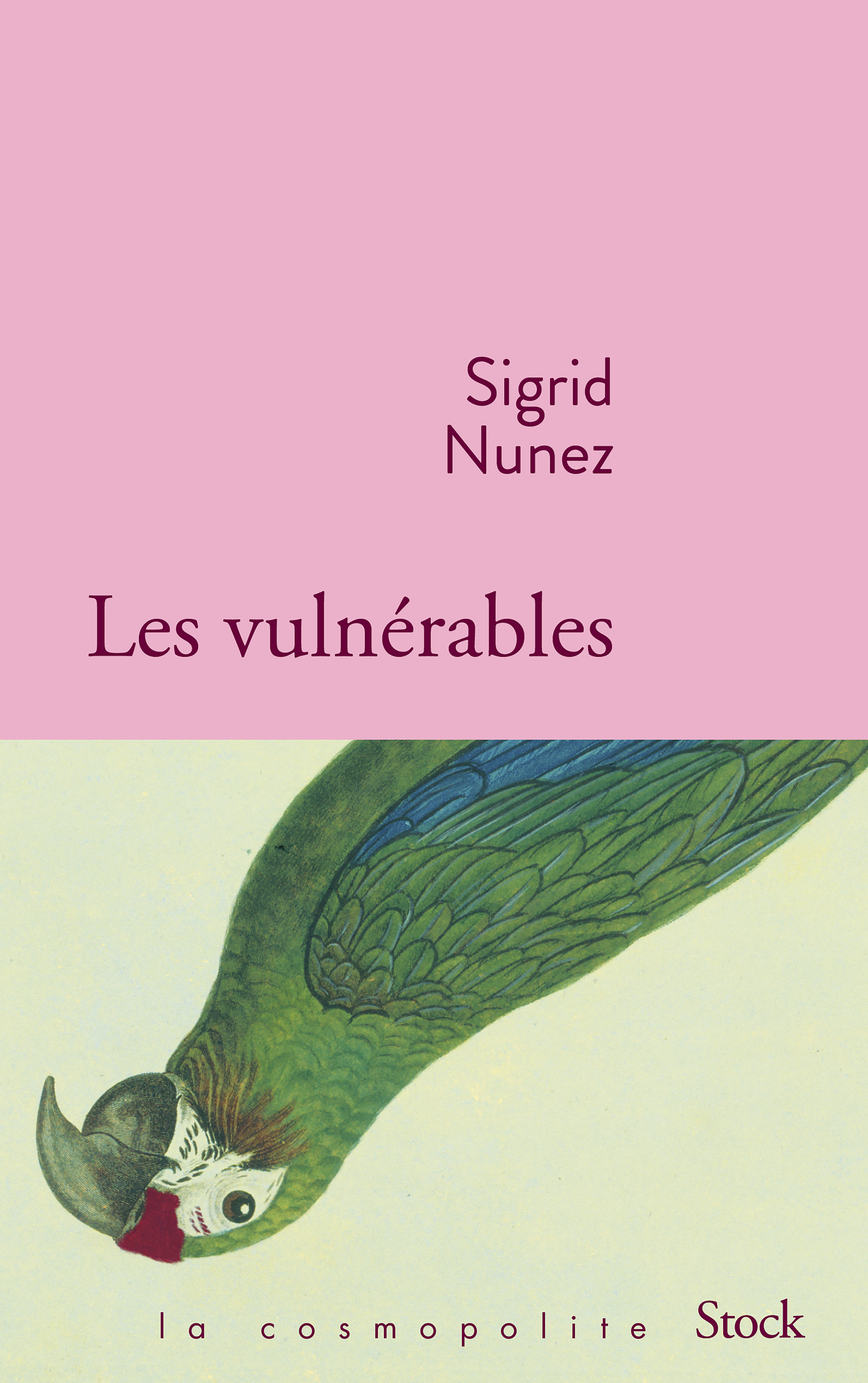 Les vulnérables - Sigrid Nunez - STOCK