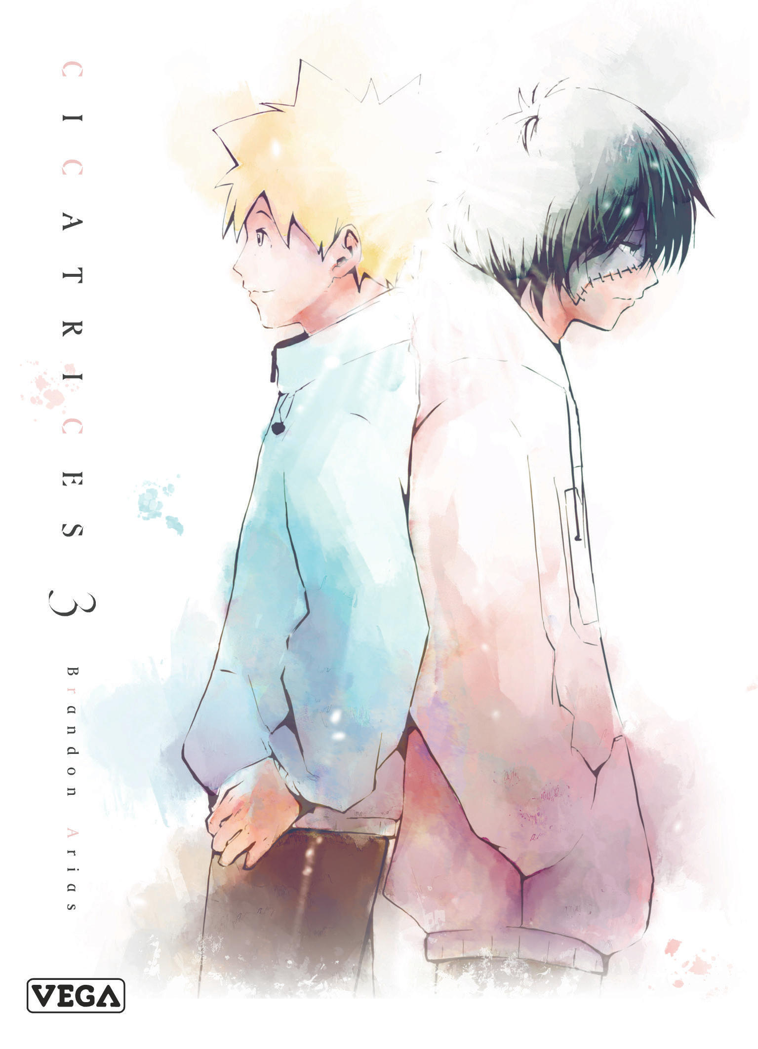 Cicatrices - Tome 3 -  Arias Brandon - VEGA DUPUIS