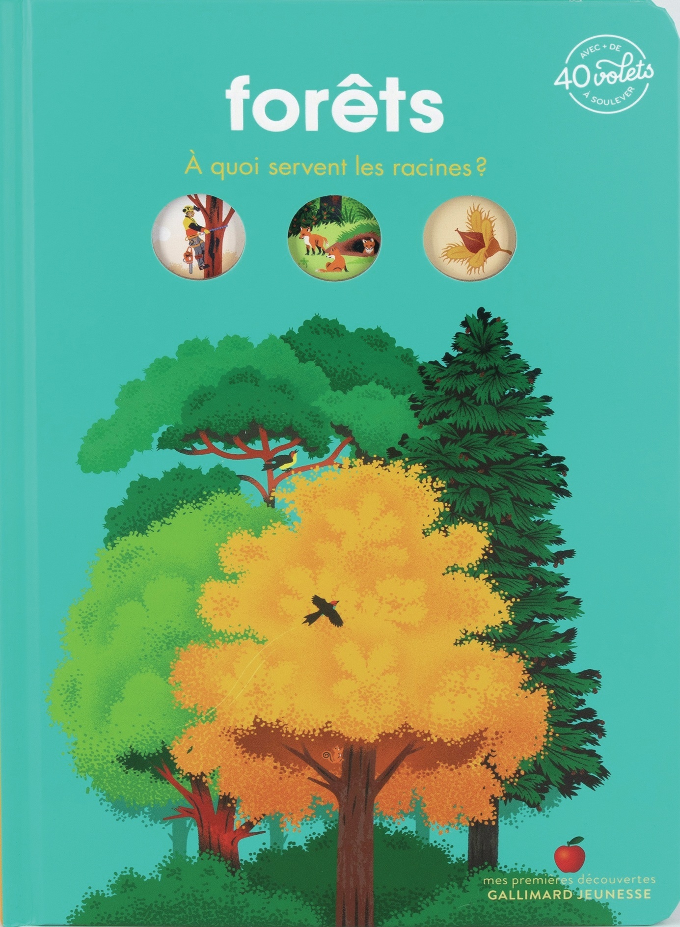 Forêts -  SYLVIE BESSARD / PAULINE PAYEN, Pauline Payen, Sylvie Bessard - GALLIMARD JEUNE