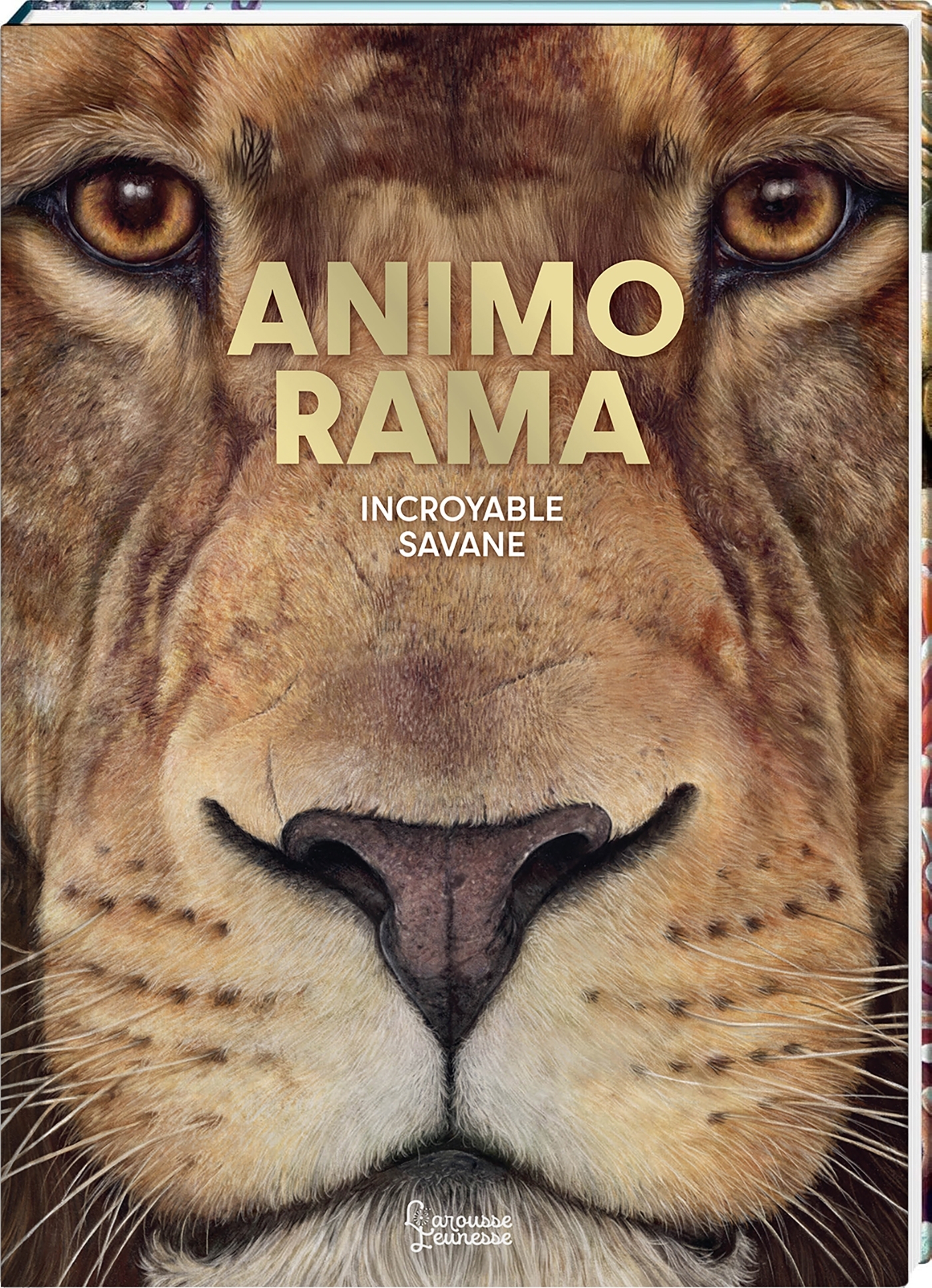 ANIMO RAMA Incroyable Savane -  Holger Haag - LAROUSSE