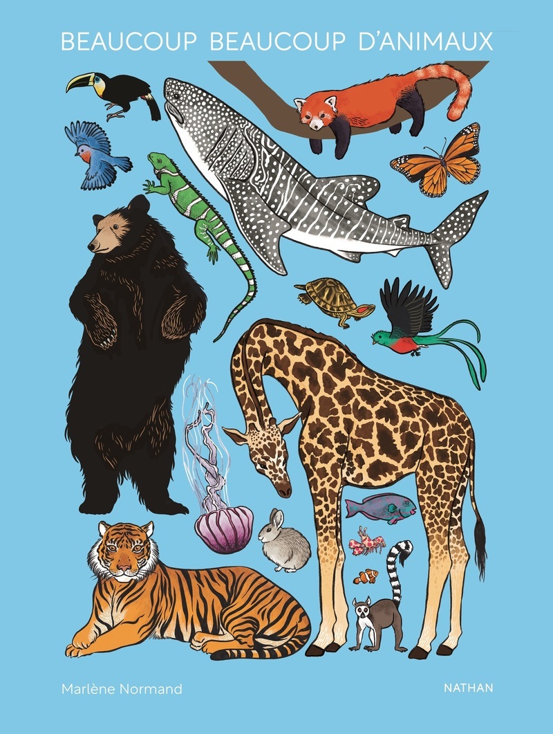 Beaucoup beaucoup d'animaux - NORMAND MARLENE - NATHAN