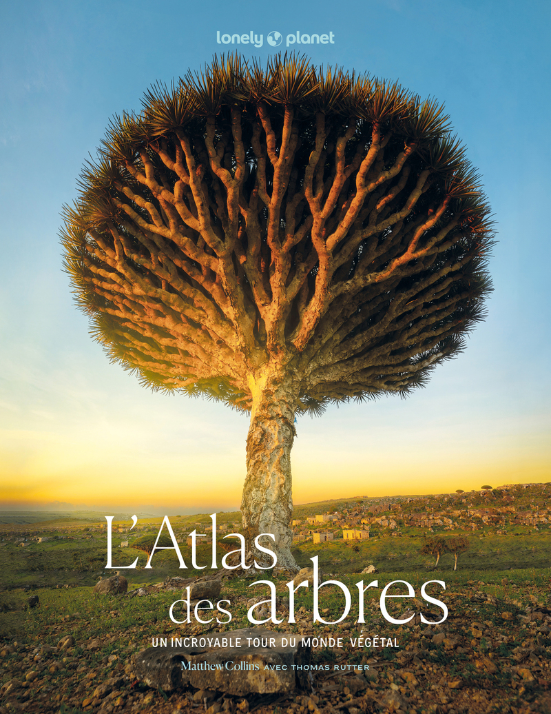L'Atlas des arbres - Un incroyable tour du monde végétal -  Lonely Planet - LONELY PLANET