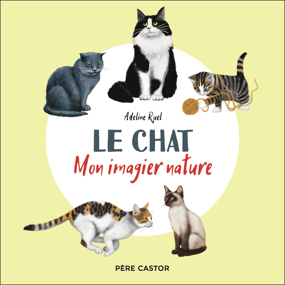 Le chat - Adeline Ruel - PERE CASTOR