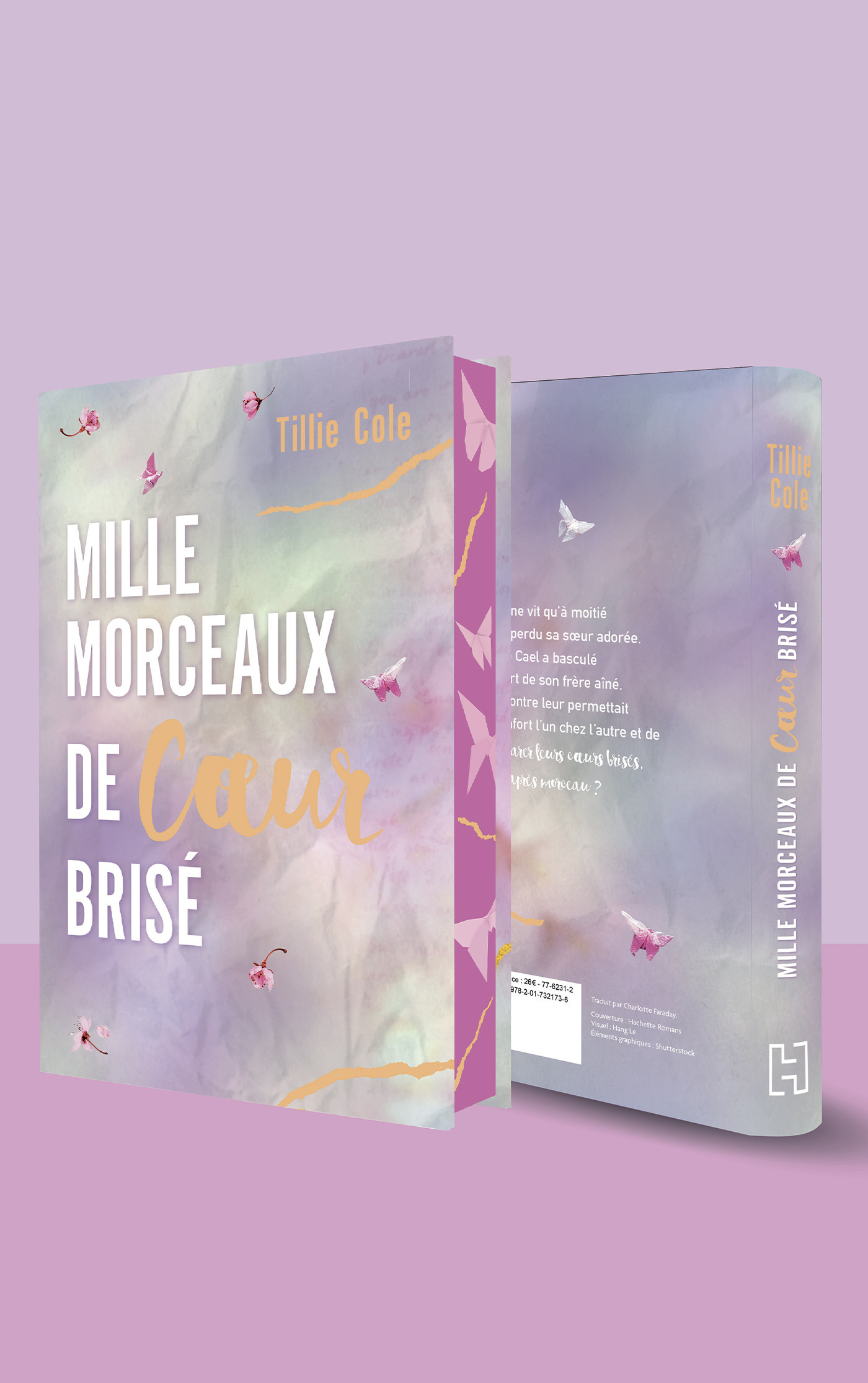 Mille morceaux de coeur brisé - Édition collector - Tillie Cole - HACHETTE ROMANS