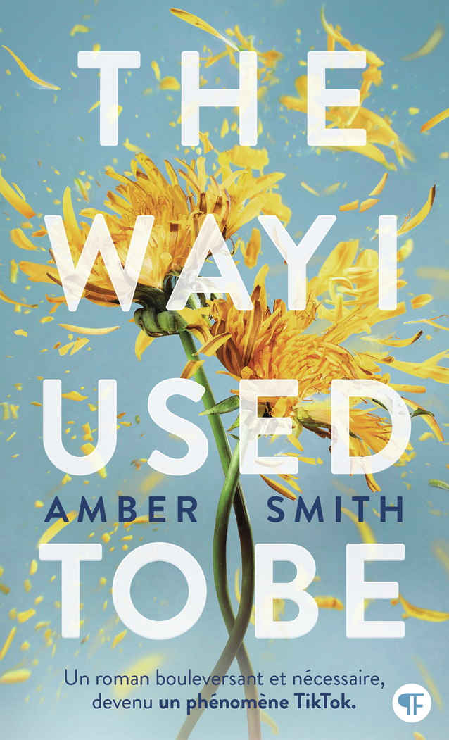 The Way I Used to be - Amber Smith - GALLIMARD JEUNE
