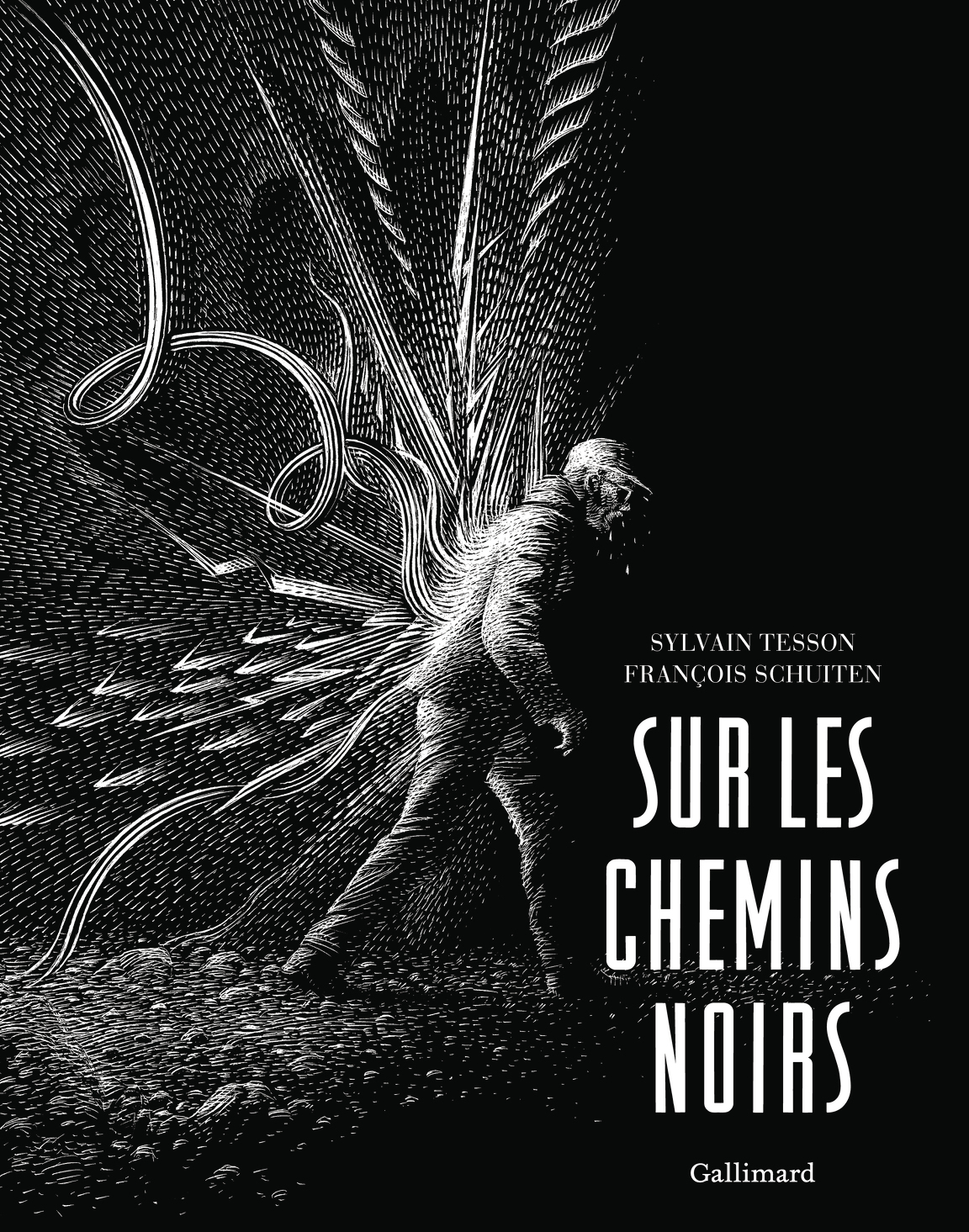 Sur les chemins noirs - Sylvain Tesson, François Schuiten - GALLIMARD