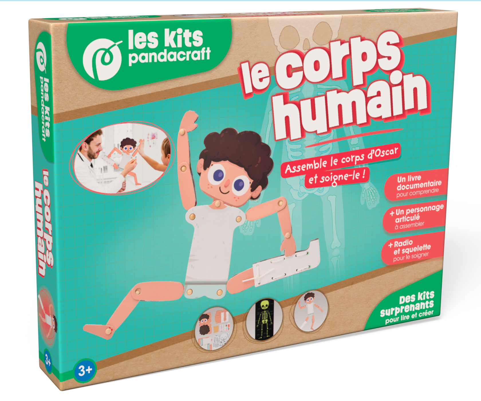 Le corps humain - Kit Pandacraft dès 3 ans -  - PANDACRAFT