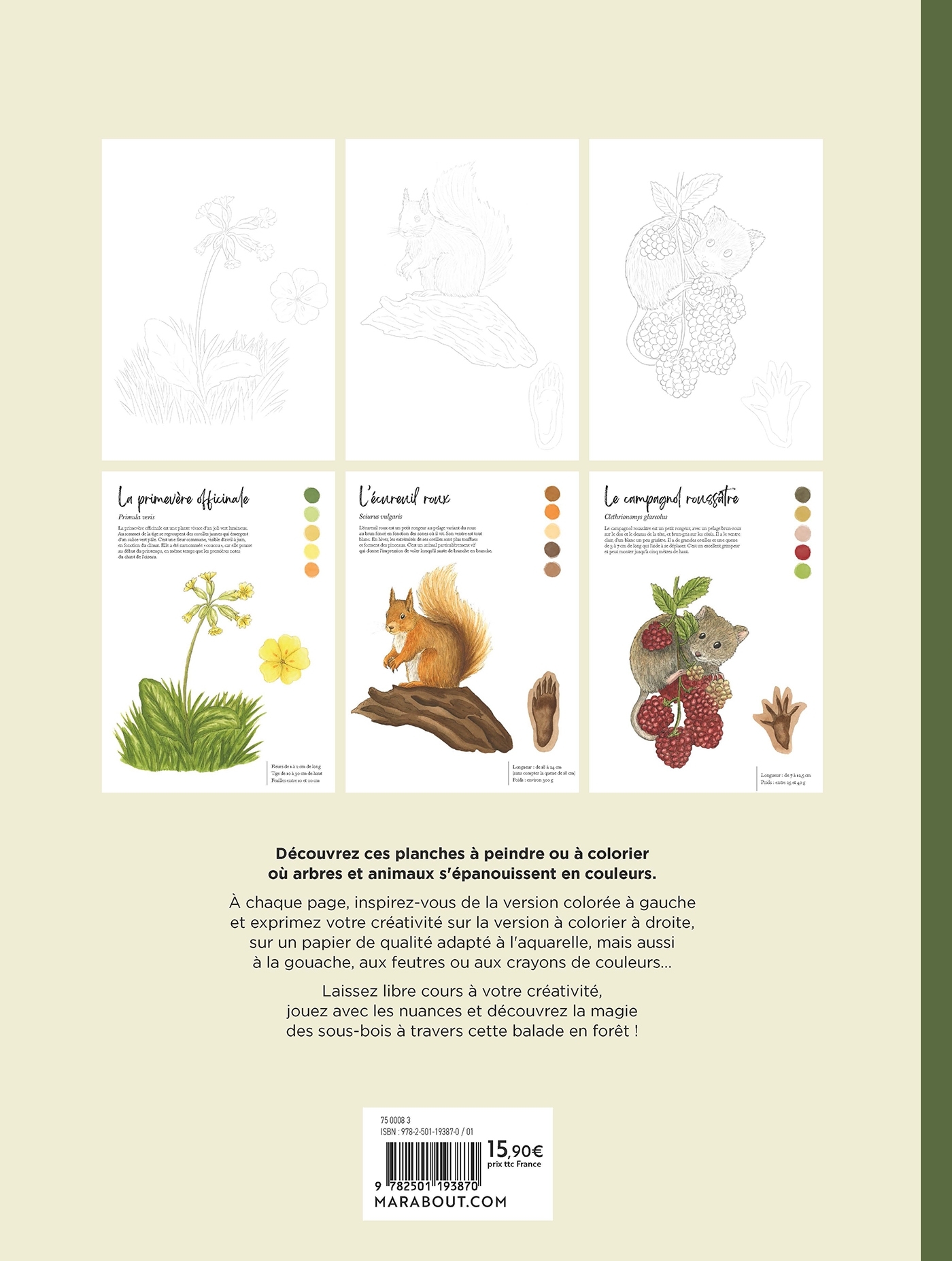 Coloriage aquarelle - Balades en forêt -  - MARABOUT