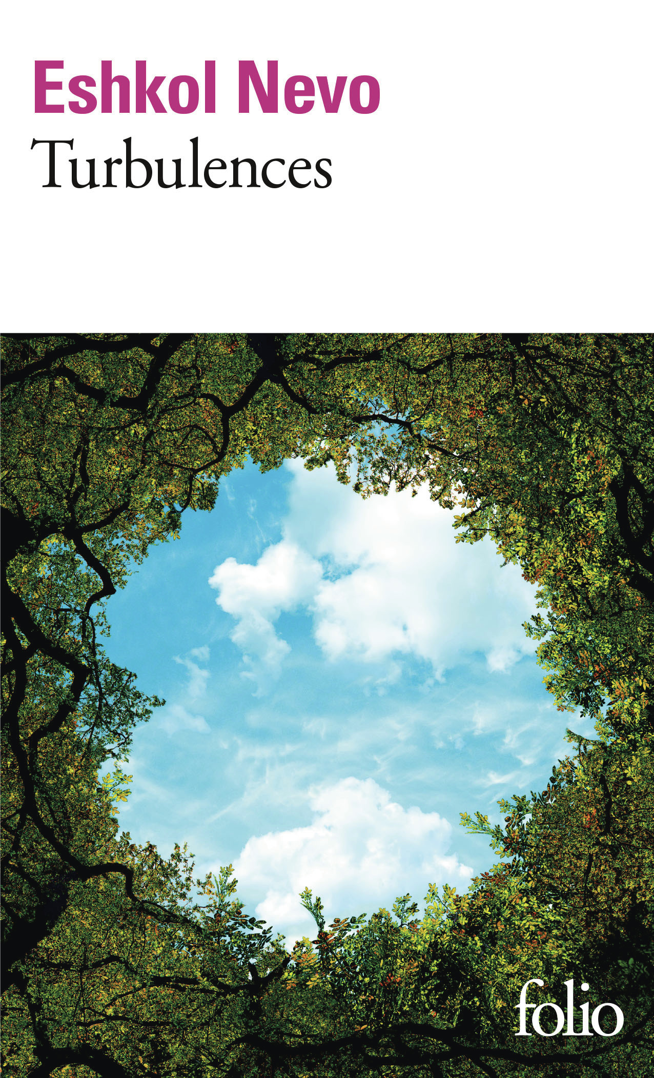 Turbulences - Eshkol Nevo - FOLIO