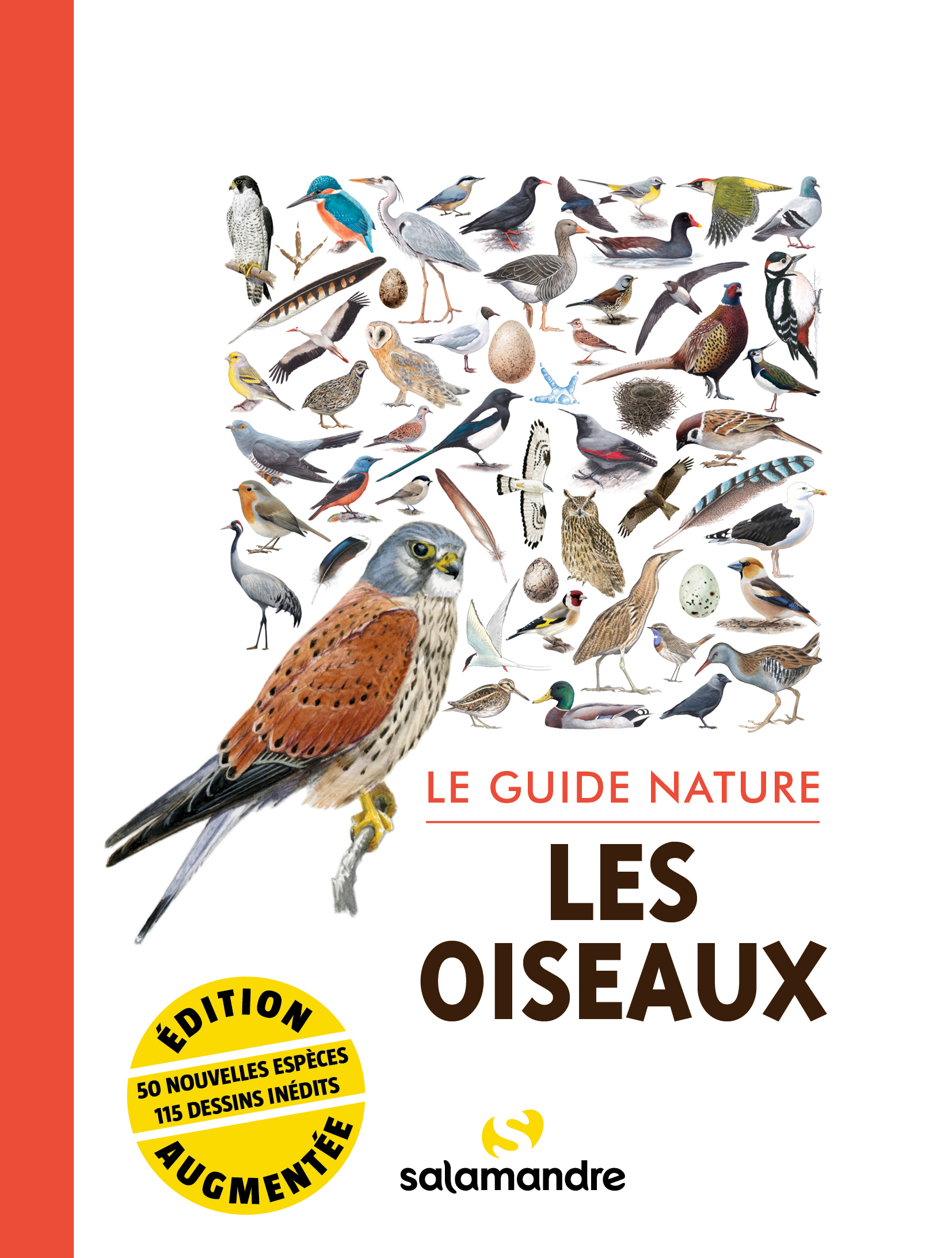 Le guide nature les oiseaux -  Collectif,  Collectifok - LA SALAMANDRE