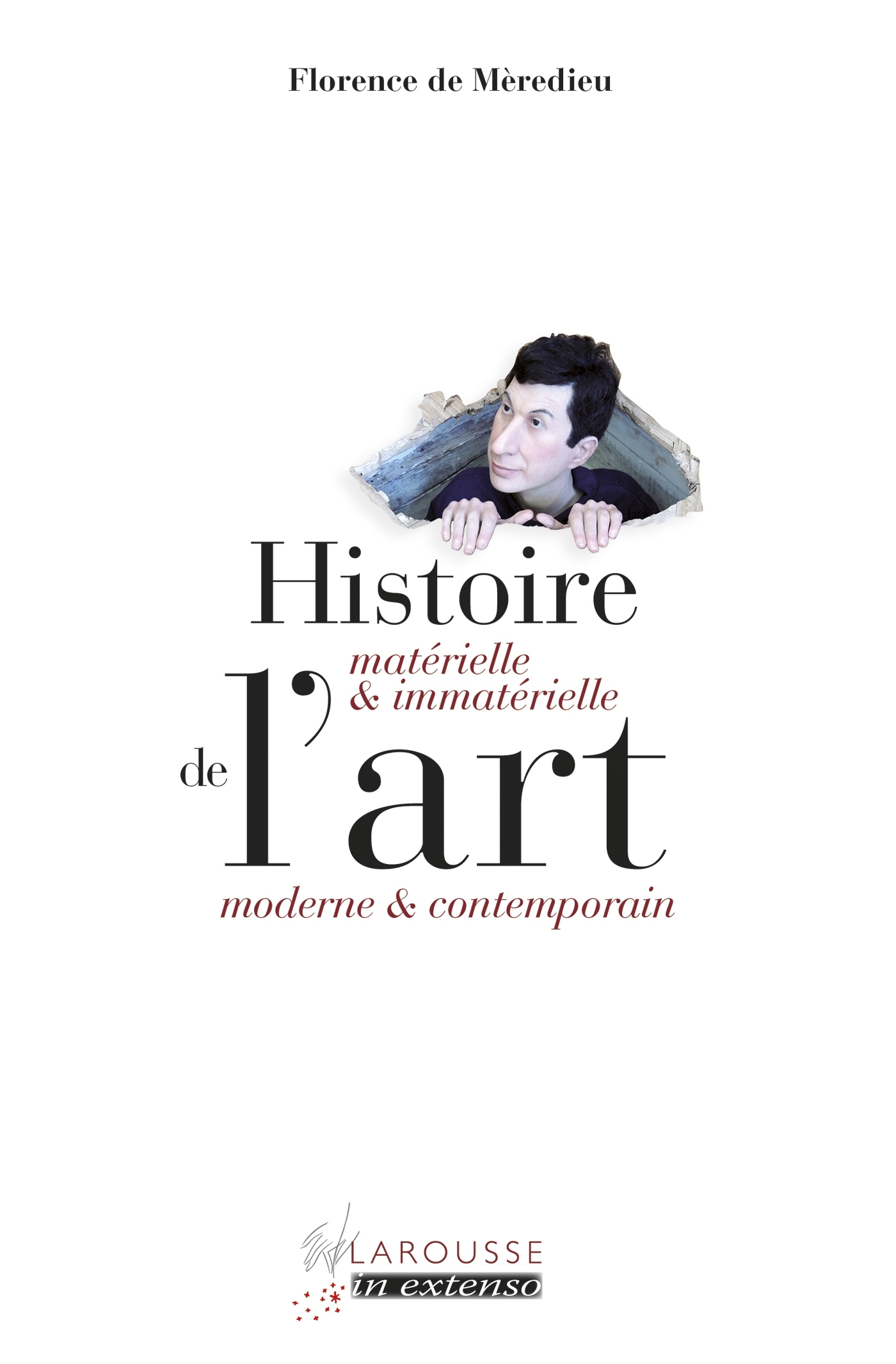 Histoire matérielle et immatérielle de l'art moderne et contemporain - Florence Mèredieu - LAROUSSE
