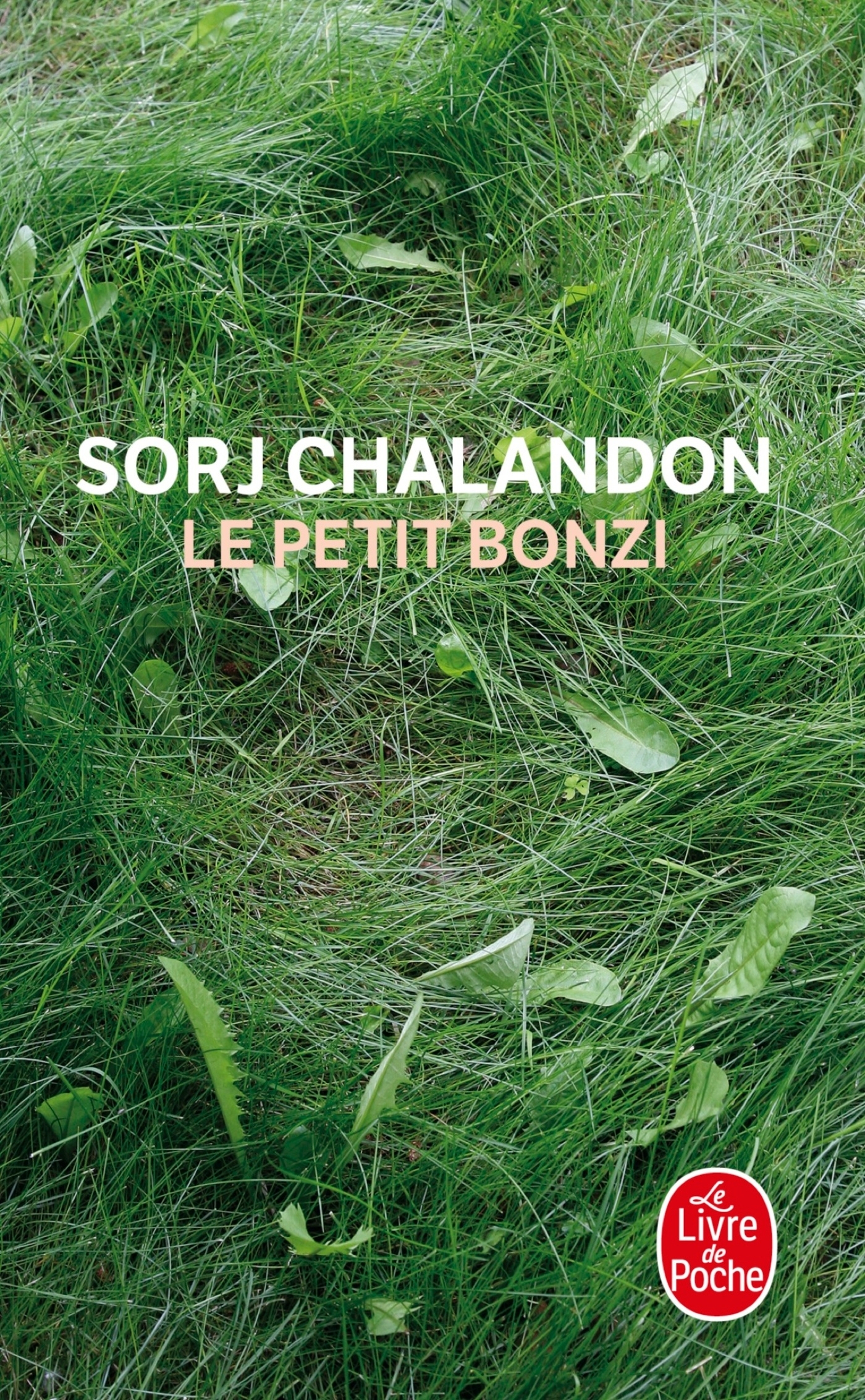 Le Petit Bonzi - Sorj Chalandon - LGF