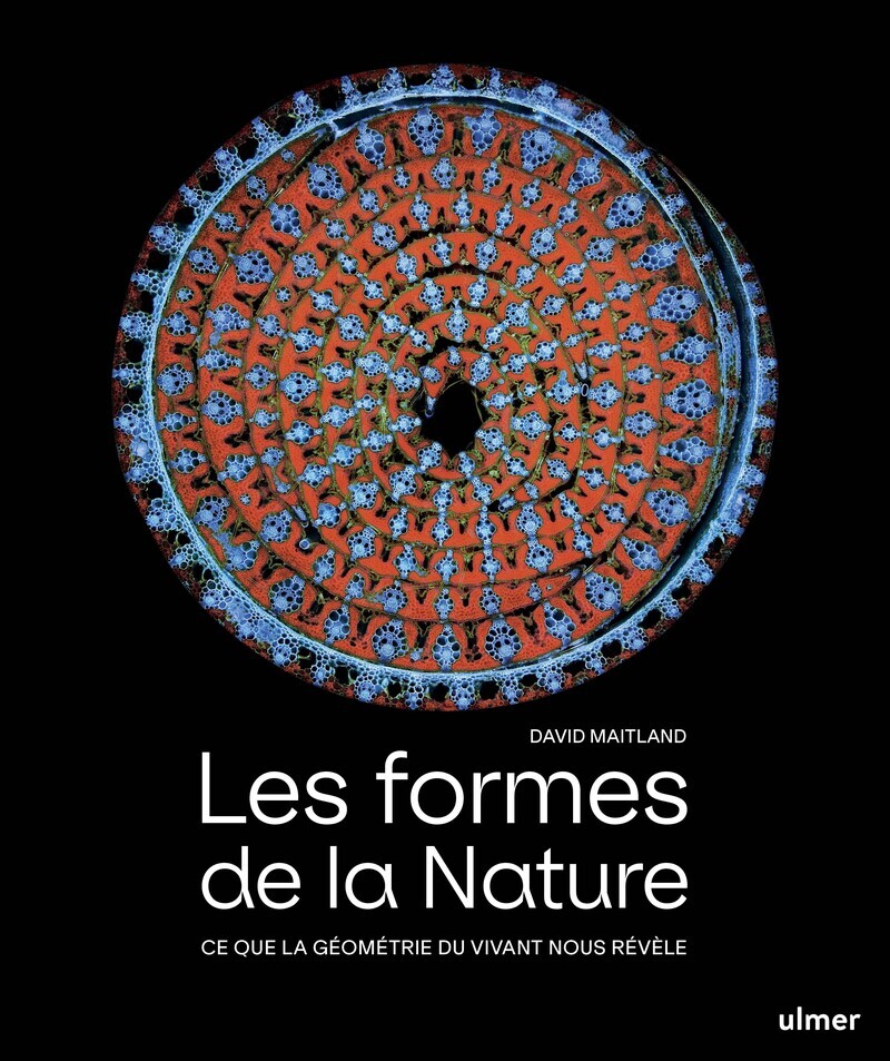 Les formes de la nature - Ce que la géométrie du vivant nous révèle - David Maitland - ULMER