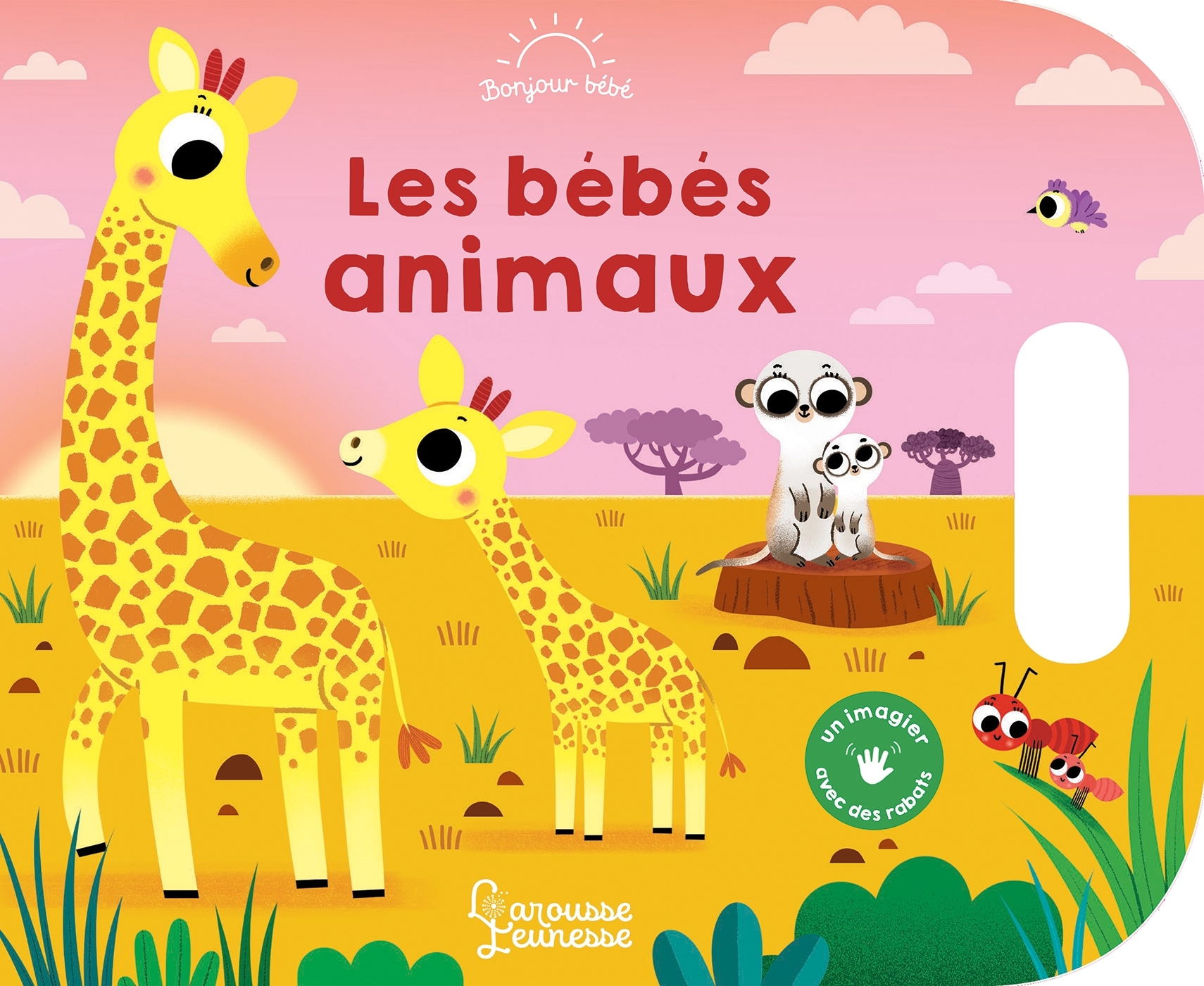 Les bébés animaux - BARETTI SONIA - LAROUSSE