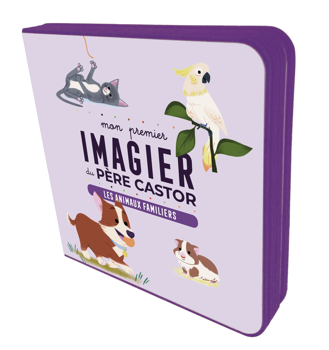 Mon premier Imagier du Père Castor - Les animaux familiers - Emilie Jacob - PERE CASTOR