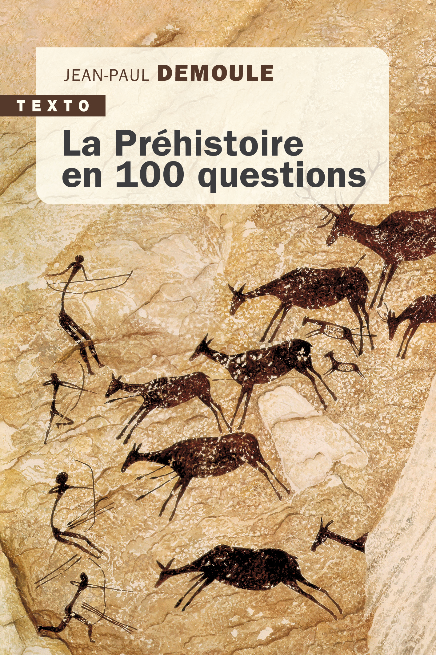 La préhistoire en 100 questions - Jean-Paul Demoule - TALLANDIER