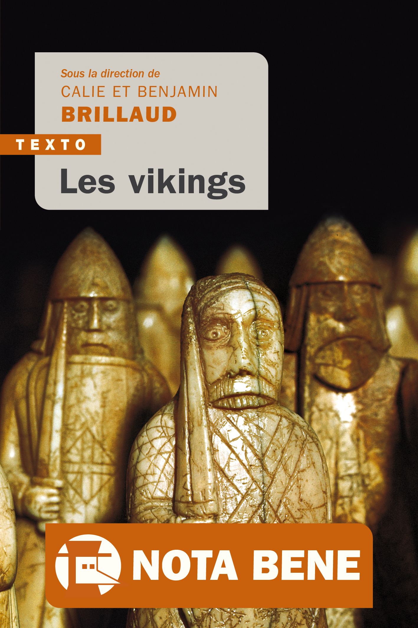 Les vikings - Benjamin Brillaud, Calie Brillaud - TALLANDIER