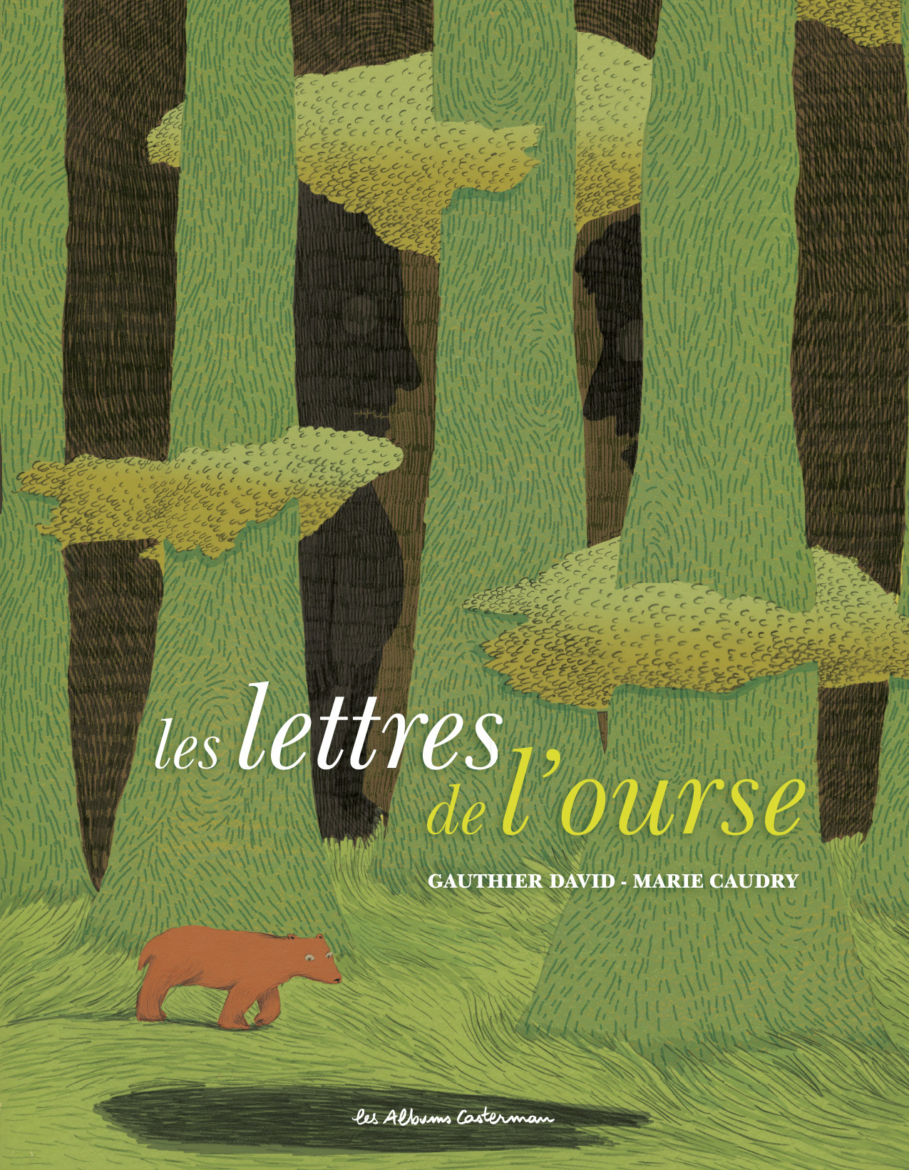 Les lettres de l'ourse - Gauthier David - CASTERMAN
