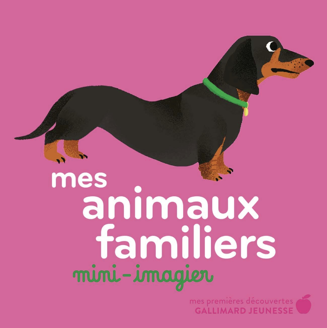 Mes animaux familiers -  AMELIE FALIERE, Amélie Falière - GALLIMARD JEUNE