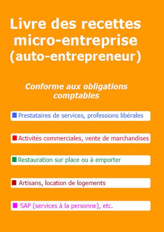 Livre des recettes micro-entreprise - Philippe GUILLERMIC,  Philippe Guillermic - THEBOOKEDITION
