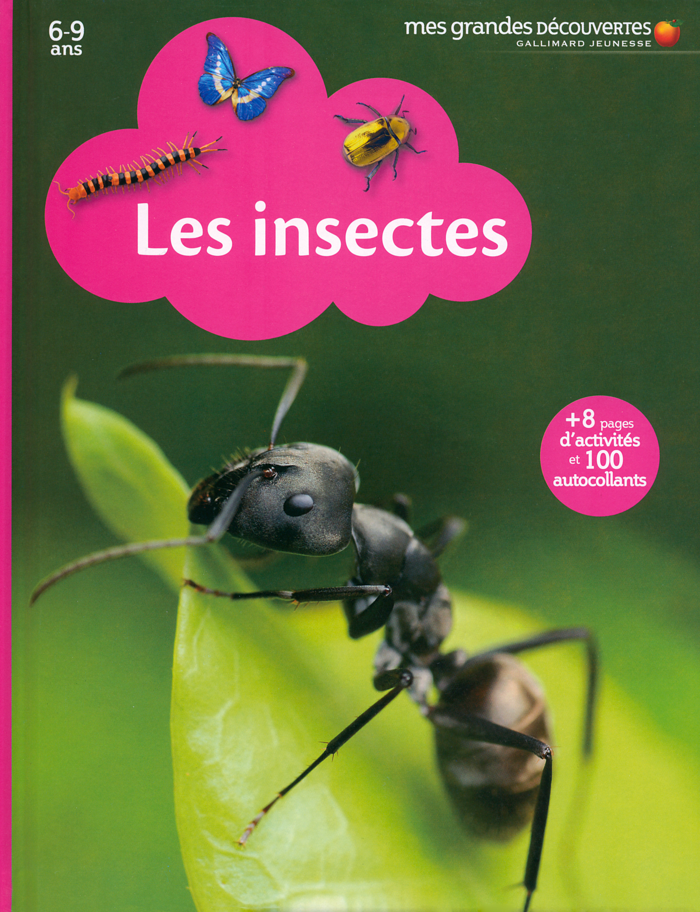 Les insectes -  Collectif - GALLIMARD JEUNE