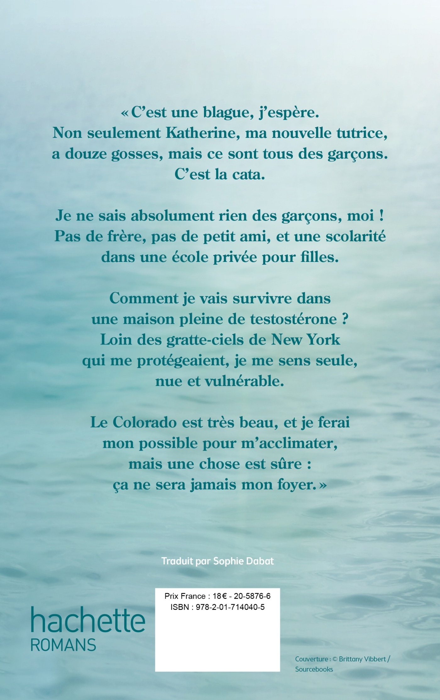 Ma vie avec les Walter Boys - le roman à l'origine de la série Netflix -  Ali Novak - HACHETTE ROMANS