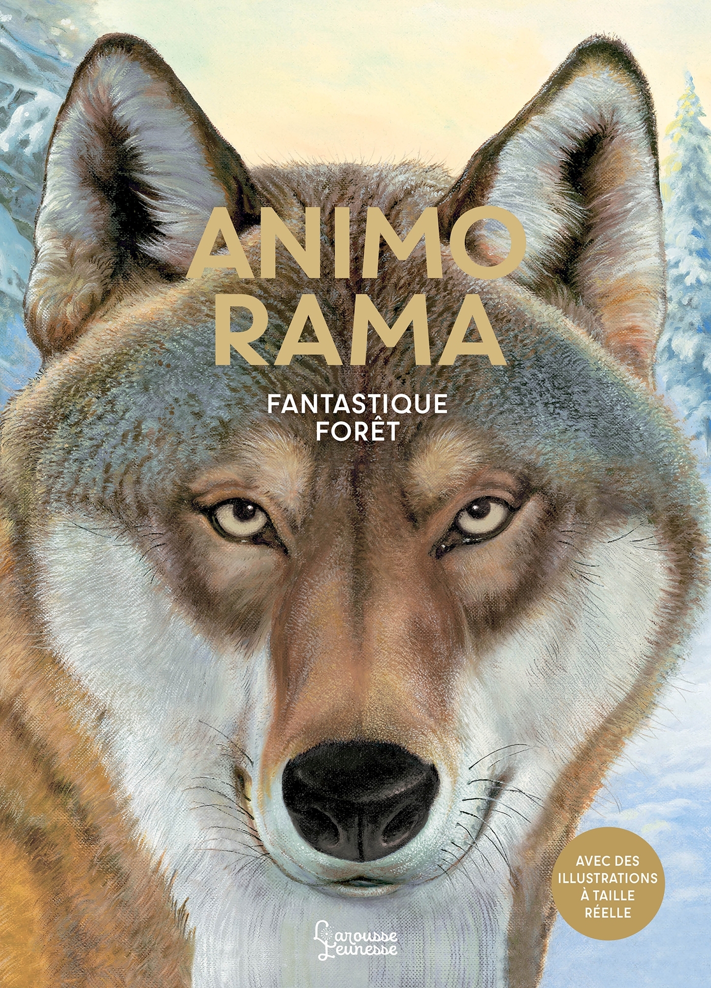 ANIMO RAMA Fantastique forêt -  Holger Haag - LAROUSSE