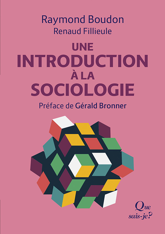 Une introduction à la sociologie - Raymond Boudon, Gérald BRONNER, Renaud Fillieule - QUE SAIS JE