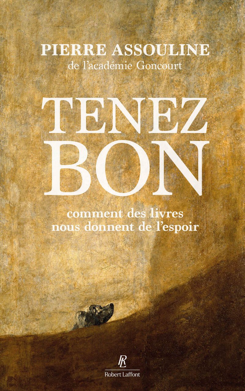 Tenez bon - Comment des livres nous donnent de l'espoir - Pierre Assouline - ROBERT LAFFONT