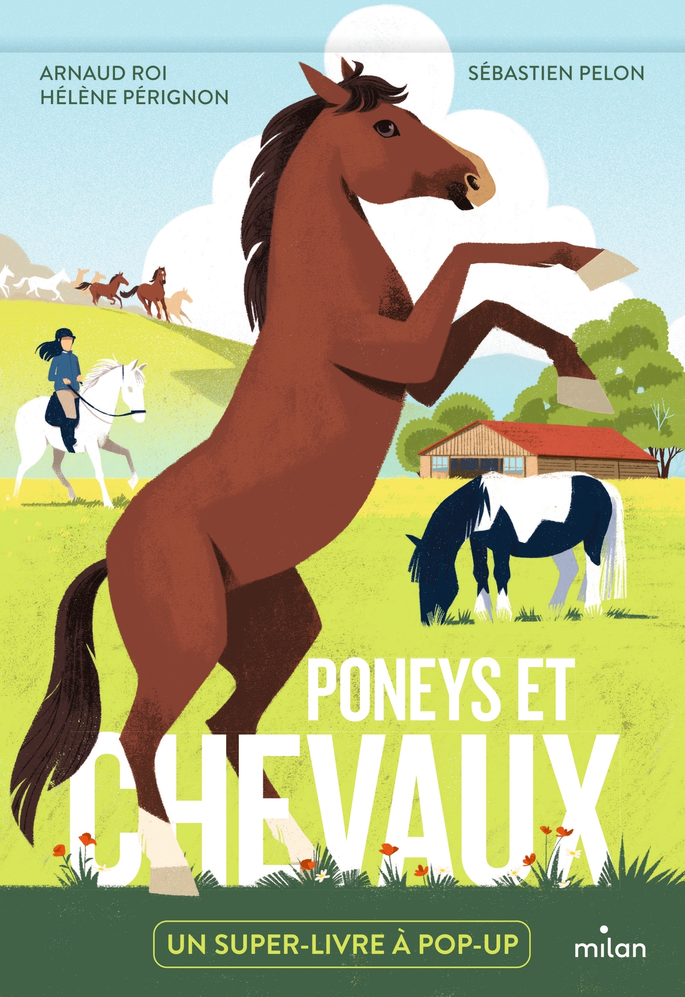 Poneys et chevaux - Hélène Perignon, Arnaud Roi - MILAN