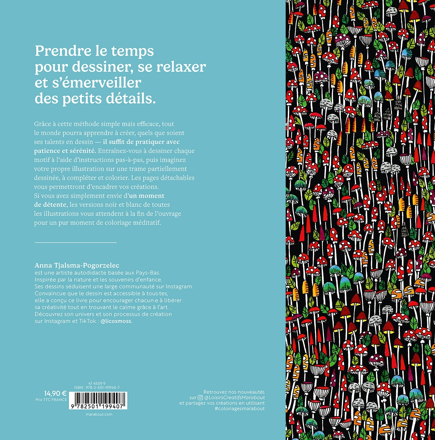 Petits motifs zen - Anna Tjalsma-Pogorzelec - MARABOUT