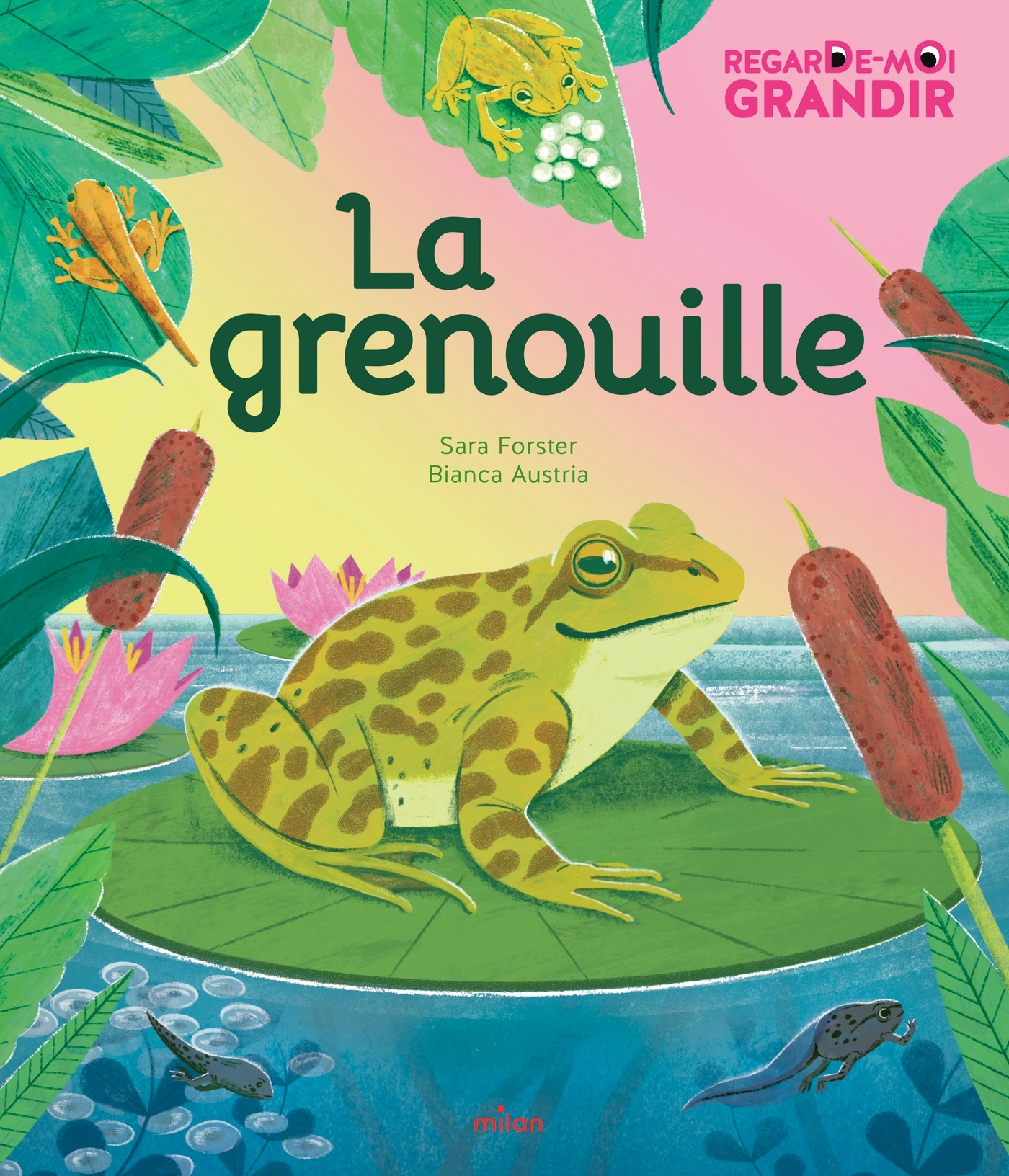 Regarde-moi grandir : la grenouille - Sara Forster - MILAN