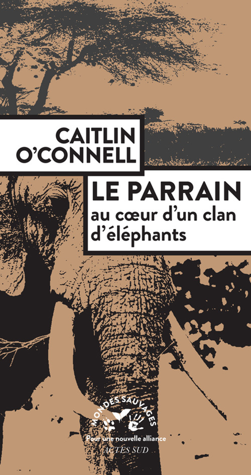 Le Parrain. Au coeur d'un clan d'éléphants - Caitlin O'connell - ACTES SUD