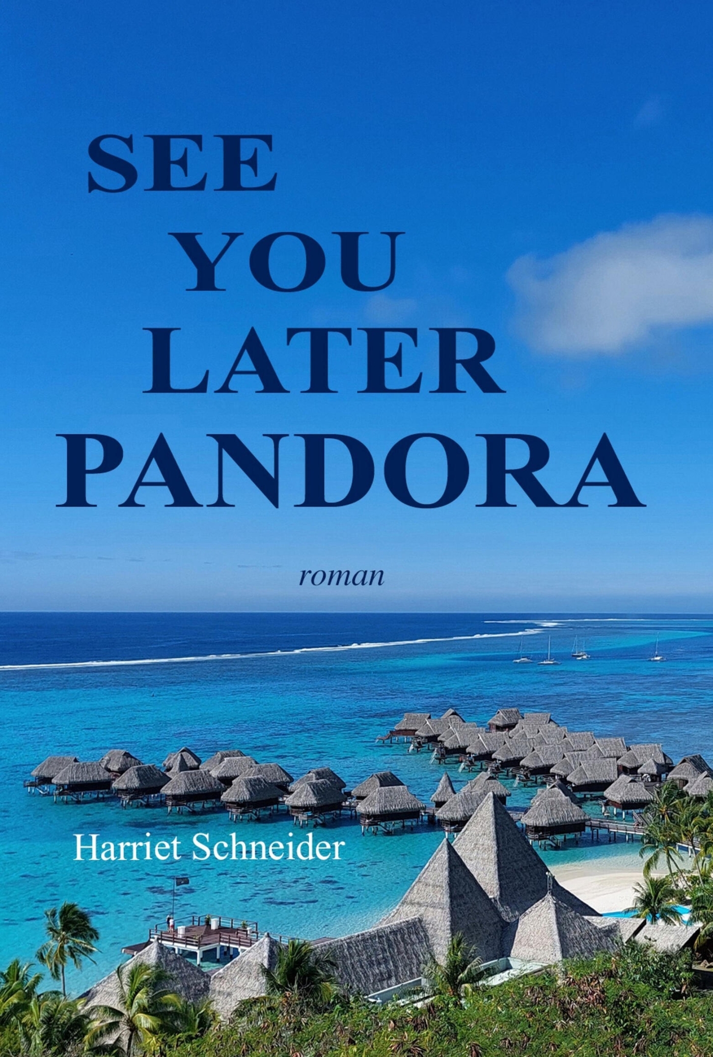 See You Later Pandora - Harriet Schneider - LIBRINOVA