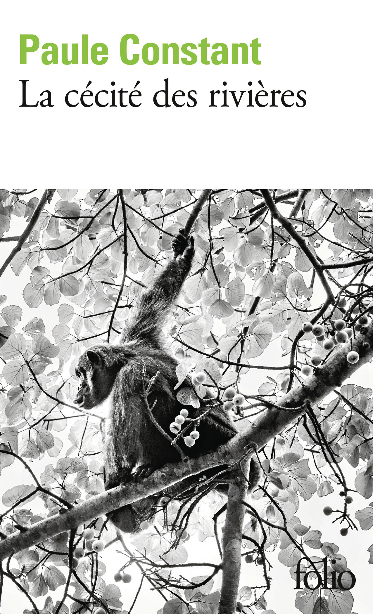 La cécité des rivières - Paule Constant - FOLIO