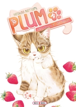 Plum, un amour de chat T14 - Natsumi Hoshino - SOLEIL
