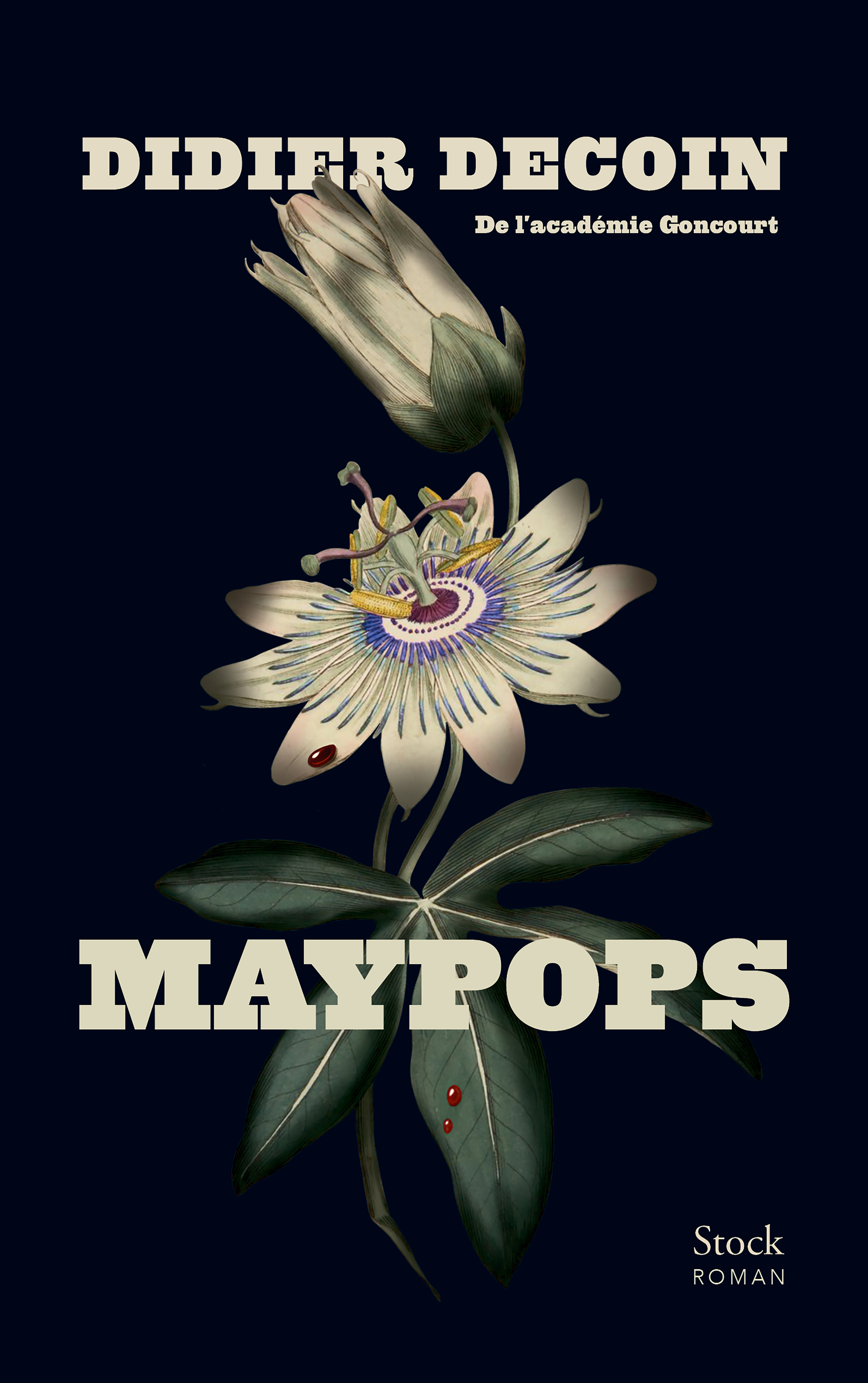 Maypops - Didier Decoin - STOCK