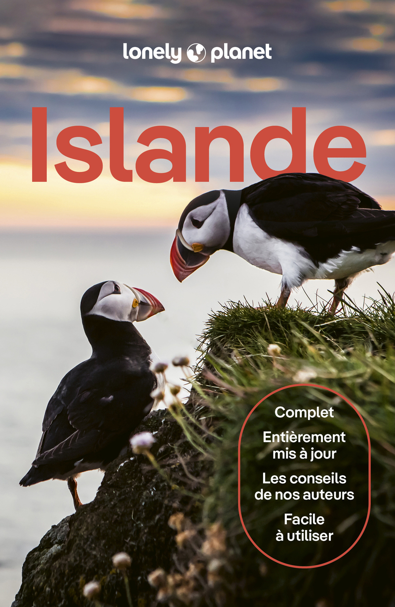 Islande 8ed -  Lonely Planet - LONELY PLANET