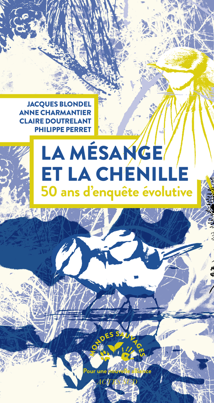 La mésange et la chenille - Philippe Perret, Claire Doutrelant, Anne Charmantier, Jacques Blondel - ACTES SUD