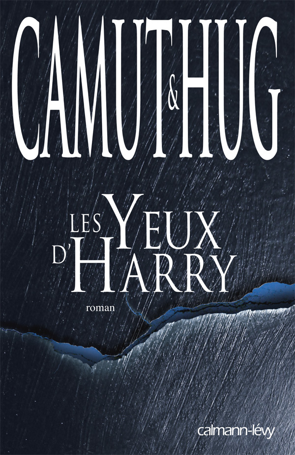 Les Yeux d'Harry - Nathalie Hug, Jérôme Camut - CALMANN-LEVY