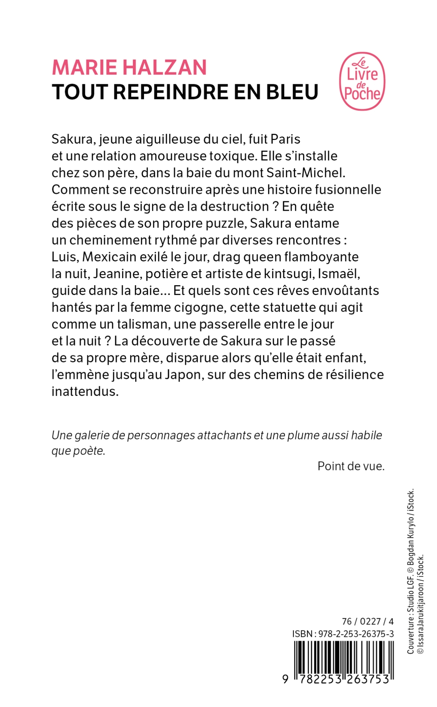 Tout repeindre en bleu - Marie HALZAN - LGF